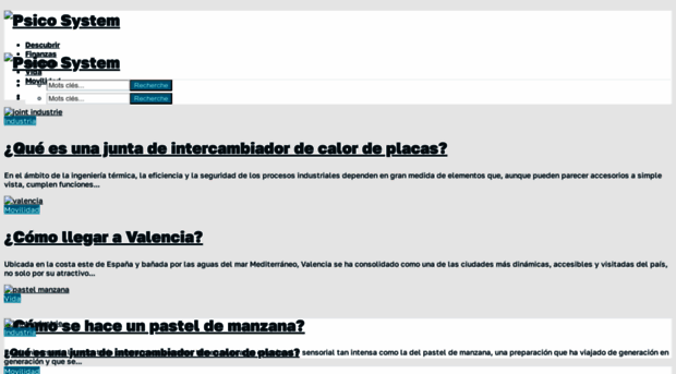 psico-system.com