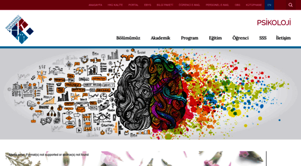 psikoloji.hku.edu.tr