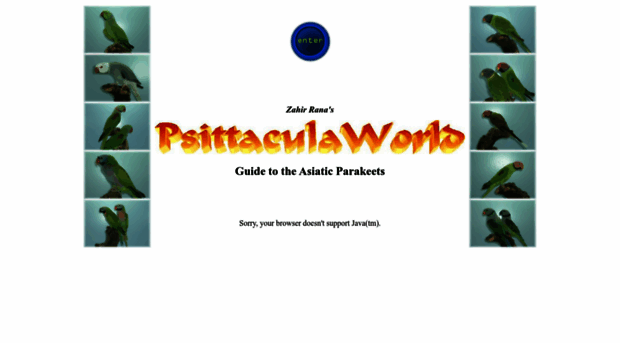 psittacula-world.com