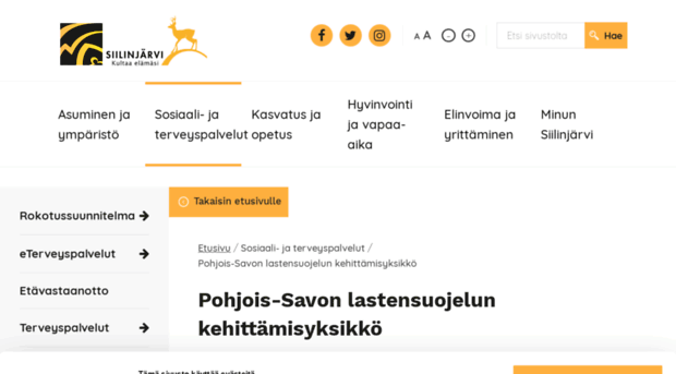 pslastensuojelu.fi