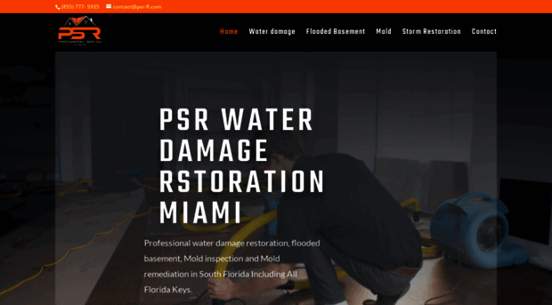 psrwaterdamagemold.com