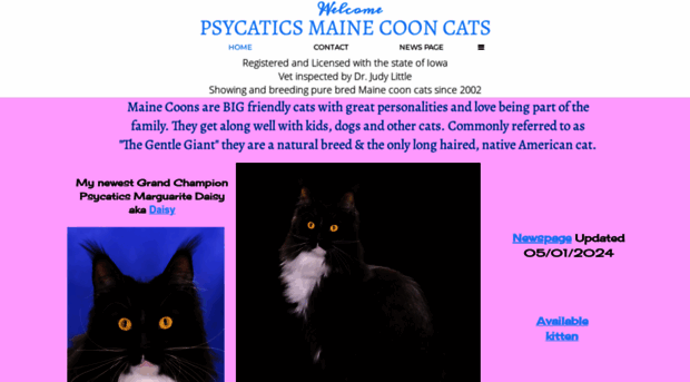 psycaticsmainecoons.com