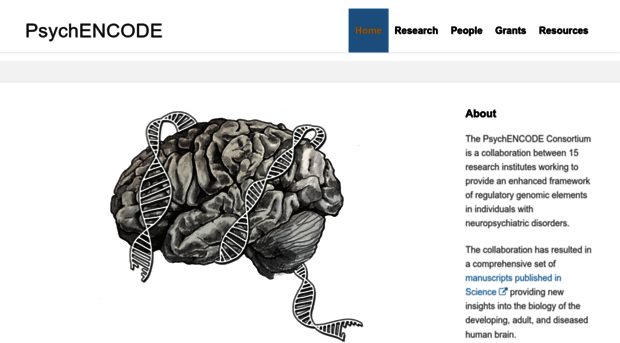 psychencode.org