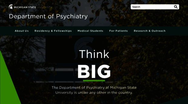 psychiatry.msu.edu