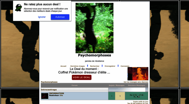 psychomorphoses.bbactif.com