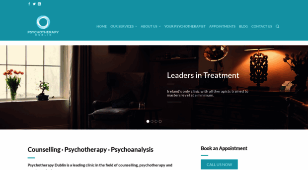 psychotherapydublin.ie