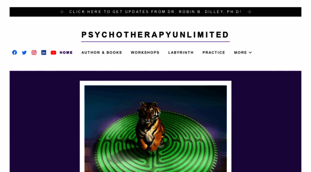 psychotherapyunlimited.com