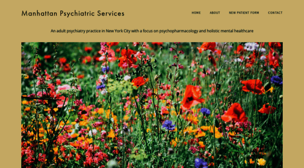 psychservicesny.com