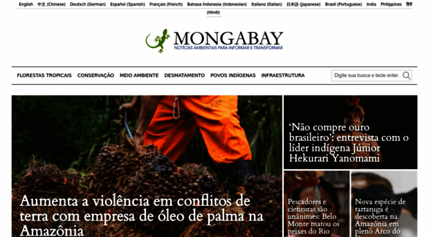 pt.mongabay.com