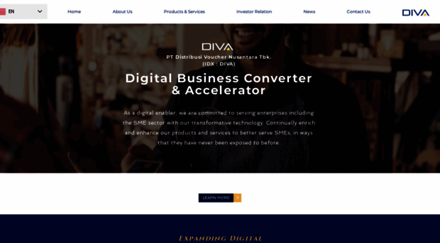 ptdvn.com
