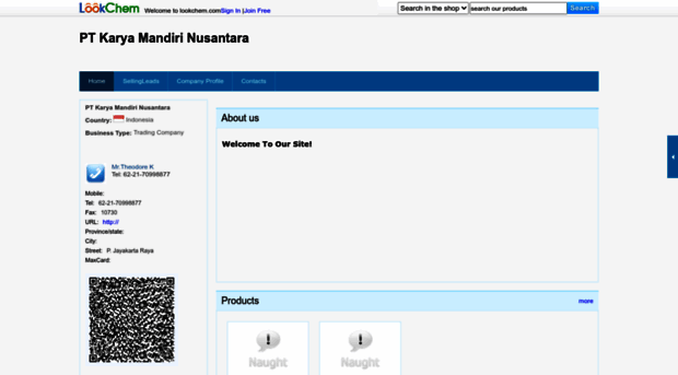 ptkarya.lookchem.com