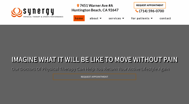 ptsynergy.com
