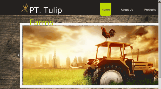 pttulipfarms.com