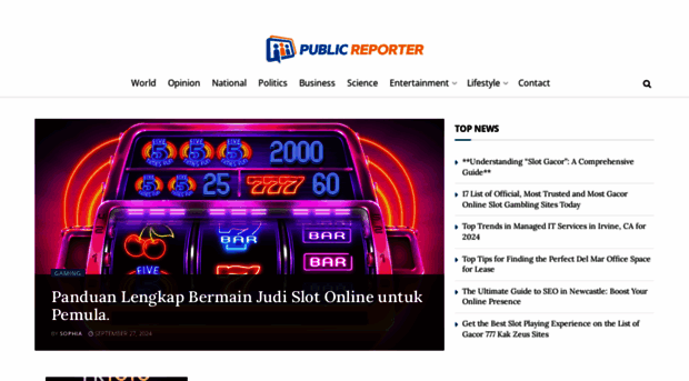 publicreporter.us