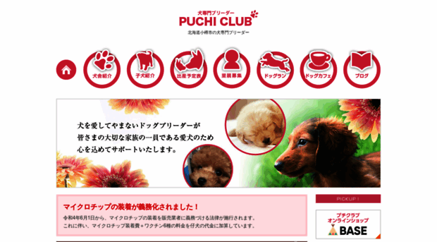 puchiclub.net