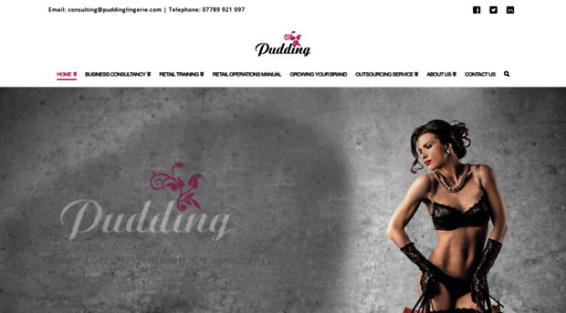 puddinglingerie.com