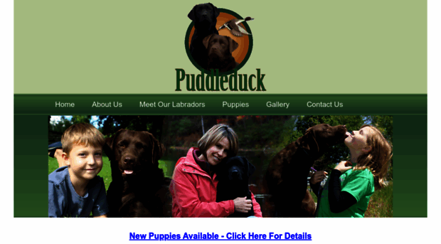 puddleduckretrievers.com