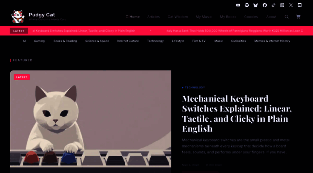pudgycat.io