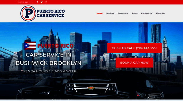 puertoricocarservice.com