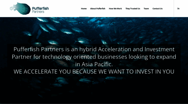 pufferfishpartners.com