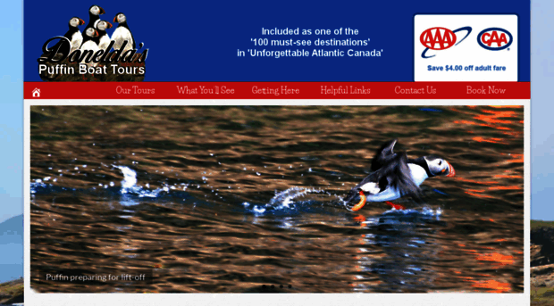 puffinboattours.com