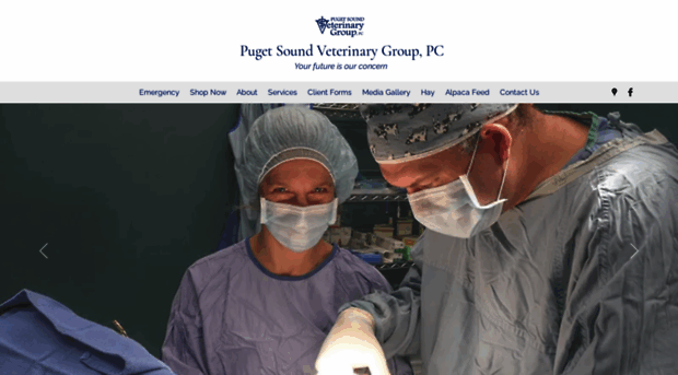 pugetsoundveterinarygroup.com