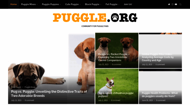 puggle.org