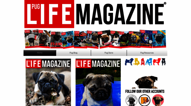 puglifemagazine.com