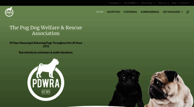 pugwelfare-rescue.org.uk