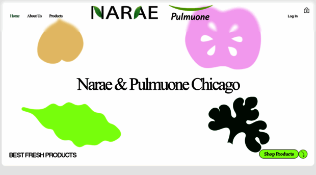 pulmuonechicago.com