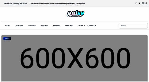 pulsehighroller.com