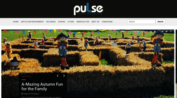 pulselorainmag.com