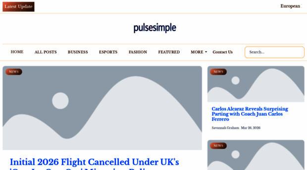 pulsesimpleblog.uk