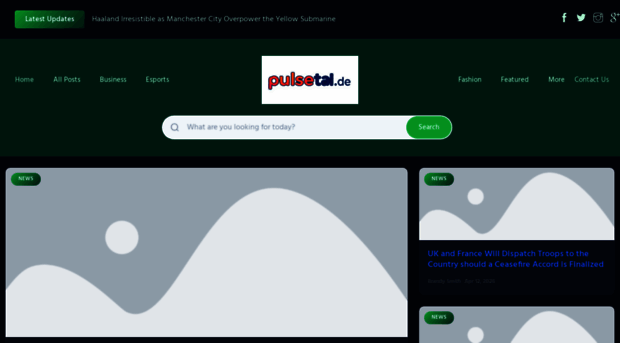 pulsetalk.de