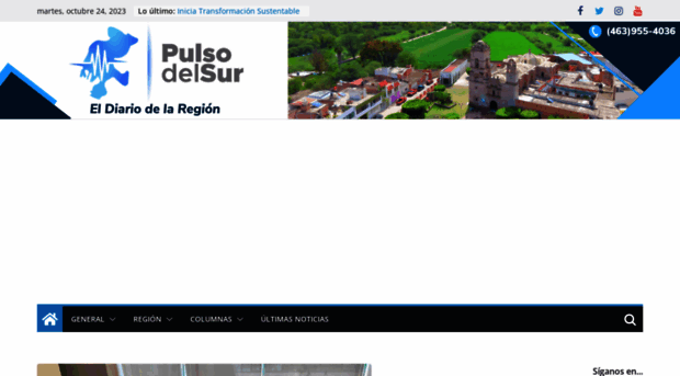 pulsodelsur.com