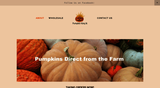 pumpkinkingwholesale.com