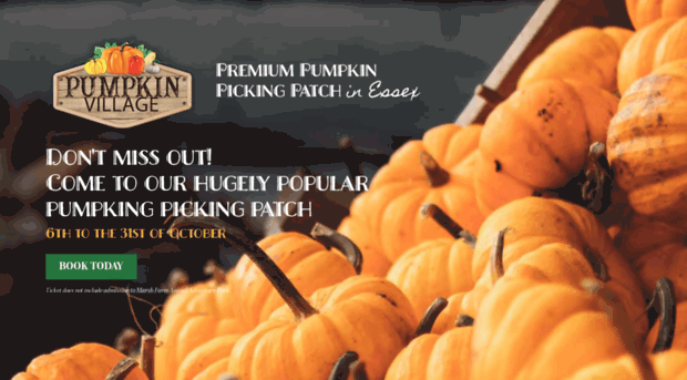 pumpkinpickingvillage.co.uk