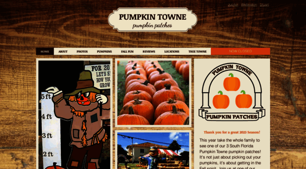 pumpkintowne.com