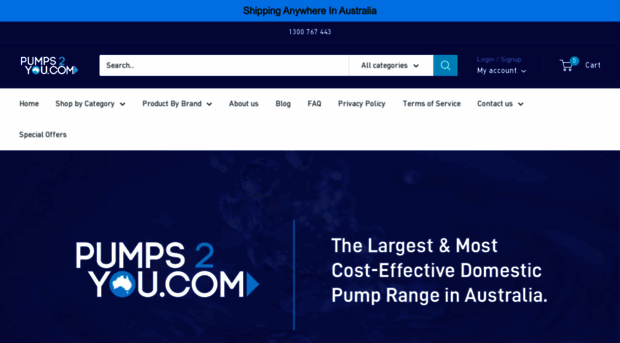 pumps2you.com