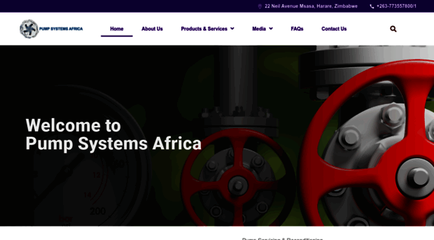 pumpsystemsafrica.net