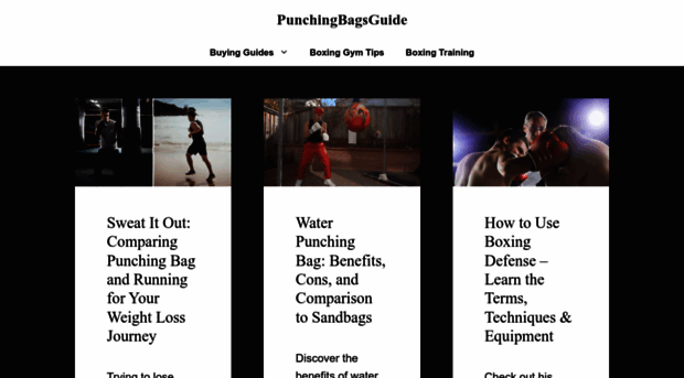 punchingbagsguide.com