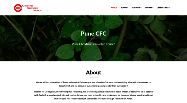 punecfc.com