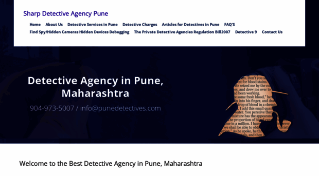 punedetectives.com