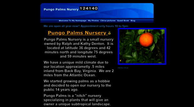 pungopalms.com