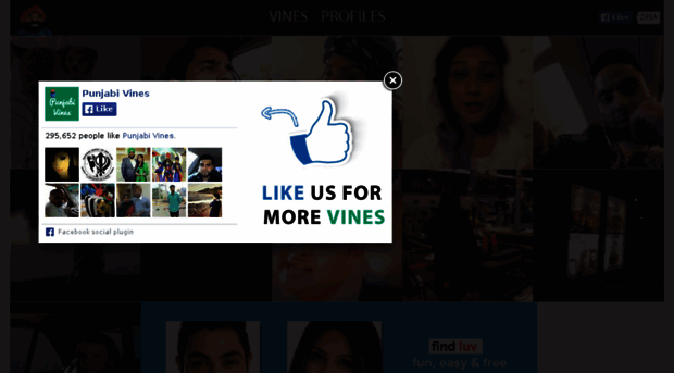 punjabivines.com