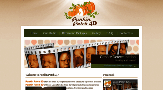 punkinpatch4d.com