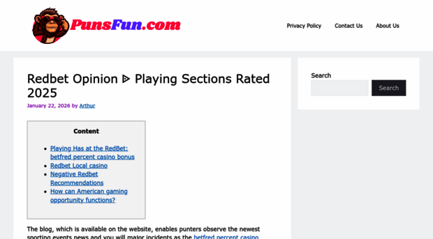punsfun.com