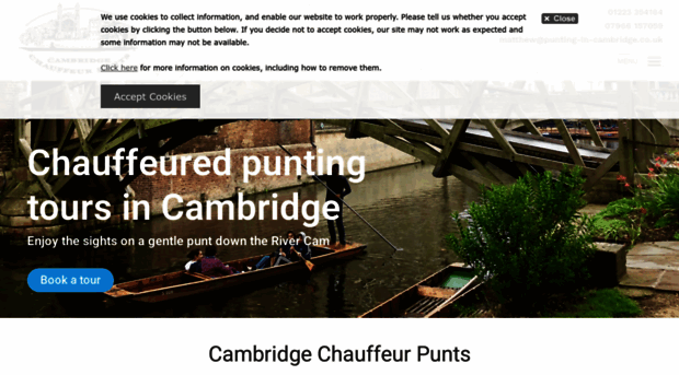 punting-in-cambridge.co.uk