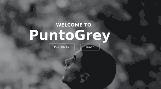 puntogrey.com