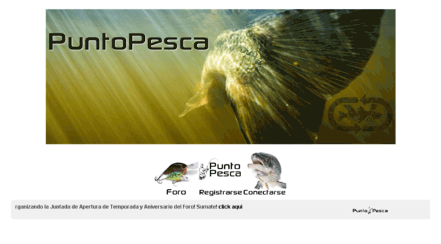 puntopesca.net